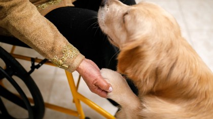 Dogoterapia
